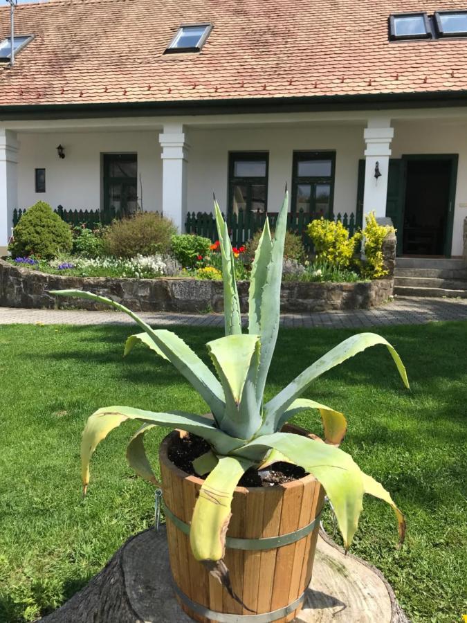 Falubiro Vendeghaza Bekolce Luaran gambar